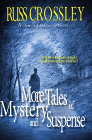 More Tales of Mystery And Suspense
